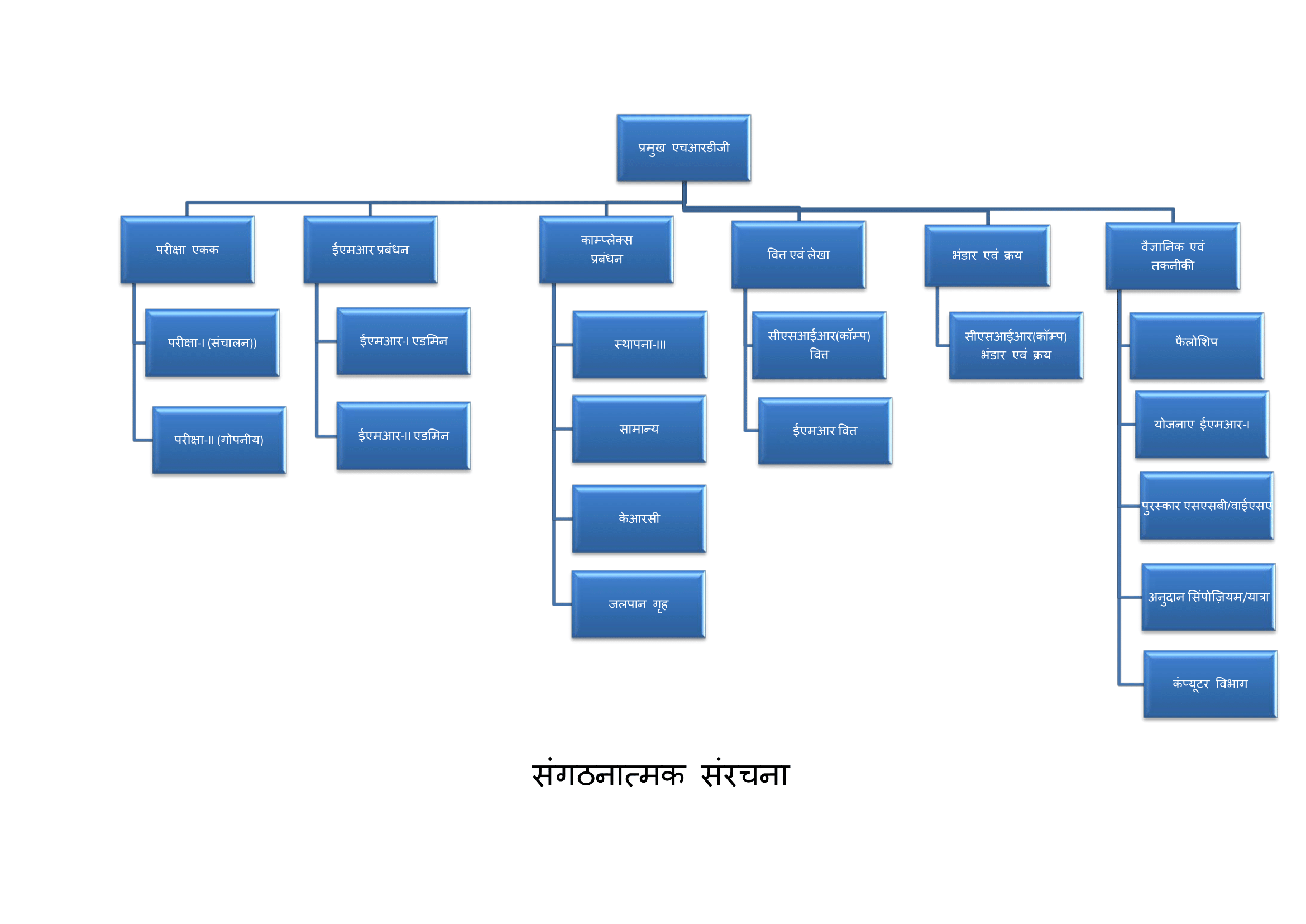 Organisation Structure